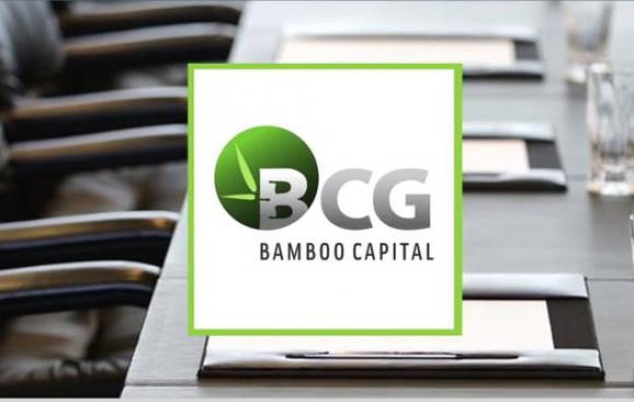 CTCP Bamboo Capital chuyển đổi trái phiếu