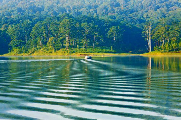 Hồ Tuyền Lâm vẻ đẹp nên thơ